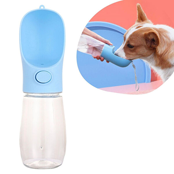 Evyora Köpek Mama ve Su Kapları