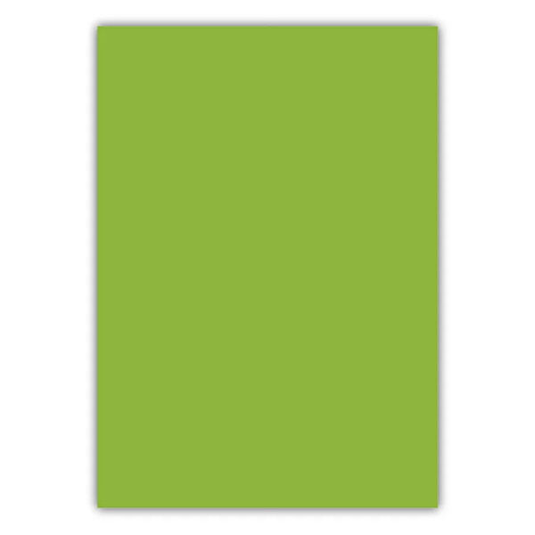 Bigpoint Cilt Makinesi ve Malzemeleri