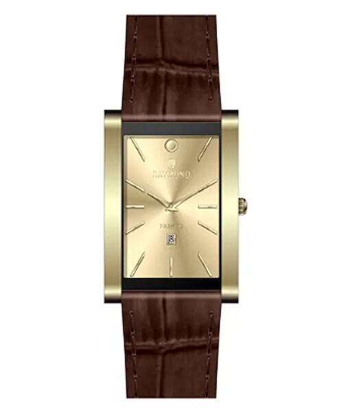 Raymond Erkek Kol Saati