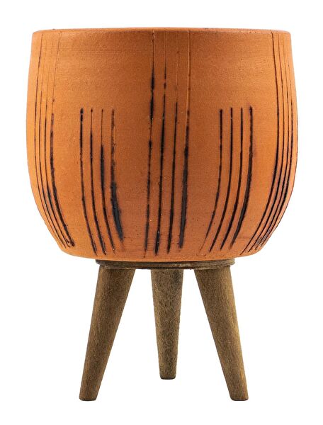 Bitki Tasarımı Vazo, Saksı