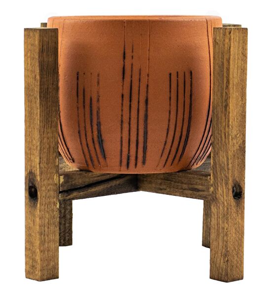 Bitki Tasarımı Vazo, Saksı