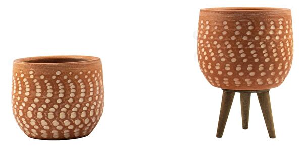 Bitki Tasarımı Vazo, Saksı