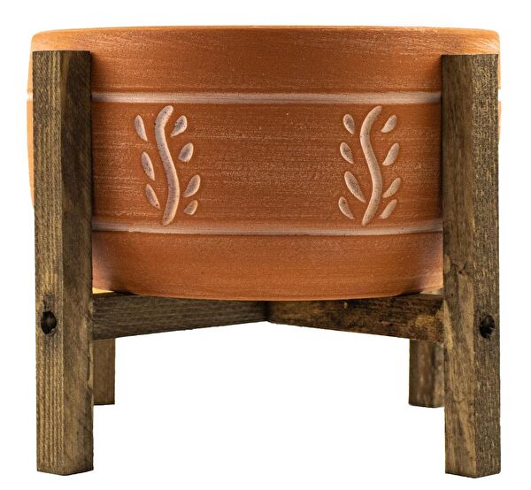 Bitki Tasarımı Vazo, Saksı