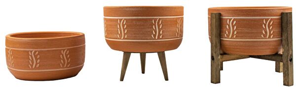 Bitki Tasarımı Vazo, Saksı