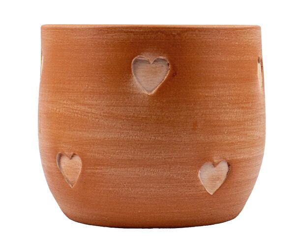 Bitki Tasarımı Vazo, Saksı