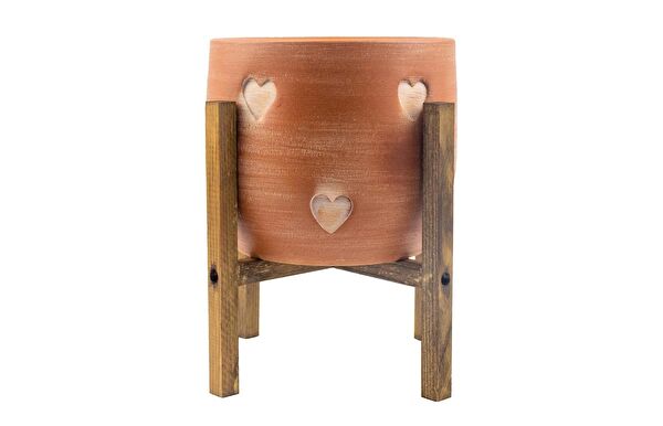 Bitki Tasarımı Vazo, Saksı