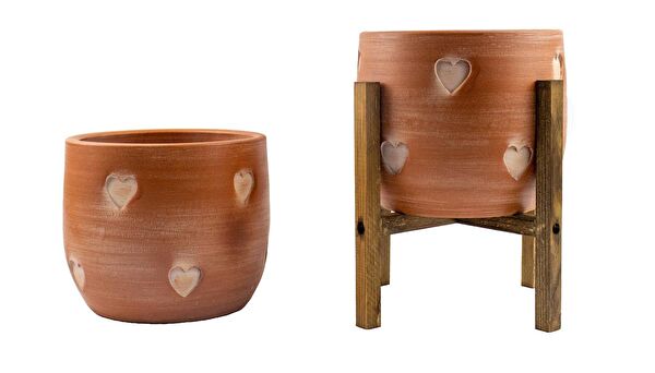 Bitki Tasarımı Vazo, Saksı