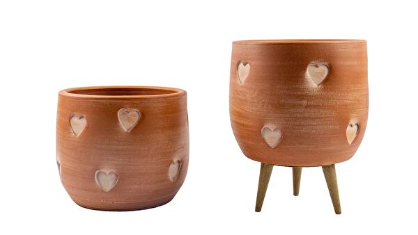 Bitki Tasarımı Vazo, Saksı