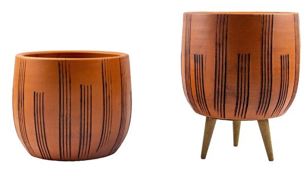 Bitki Tasarımı Vazo, Saksı