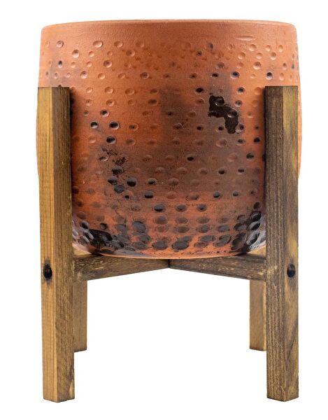 Bitki Tasarımı Vazo, Saksı