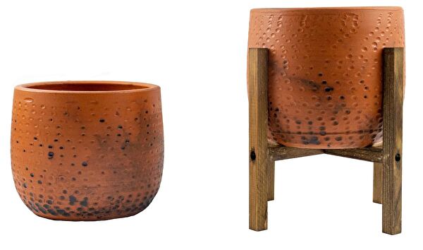 Bitki Tasarımı Vazo, Saksı