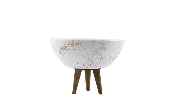 Bitki Tasarımı Vazo, Saksı