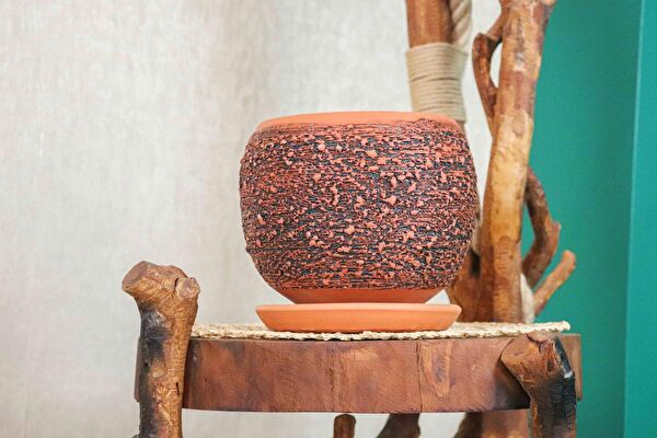 Bitki Tasarımı Vazo, Saksı