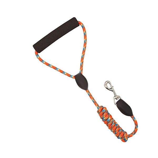 ITHAL Köpek Tasmaları