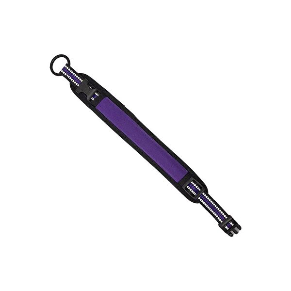 ITHAL Köpek Tasmaları