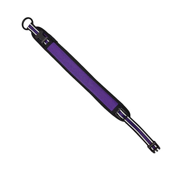 ITHAL Köpek Tasmaları