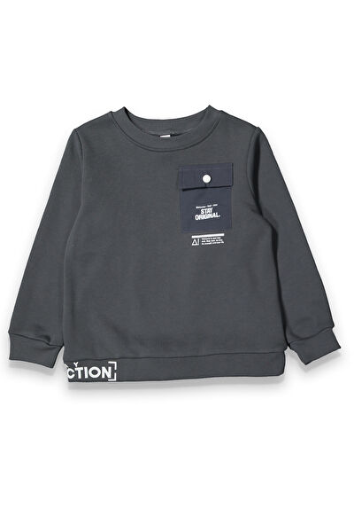 Harika Kids Erkek Çocuk Sweatshirt
