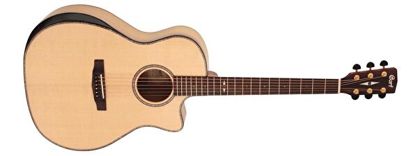 Cort Gitar