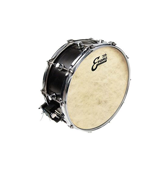 Evans Vurmalı Çalgı Aksesuarları