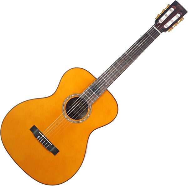 Valencia Gitar