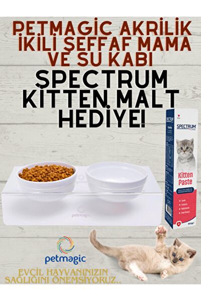 Petmagic Kedi Mama ve Su Kapları