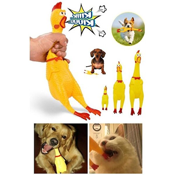 Merrida Köpek Oyuncakları