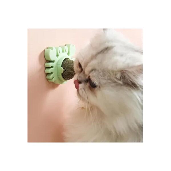 TTT Köpek Kafesi, Aksesuarları