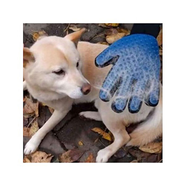 TTT Köpek Kafesi, Aksesuarları