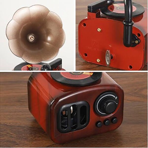 TTT Oyuncak Otobüs, Minibüsler