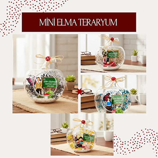 CT STONES Teraryum, Teraryum Aksesuarları