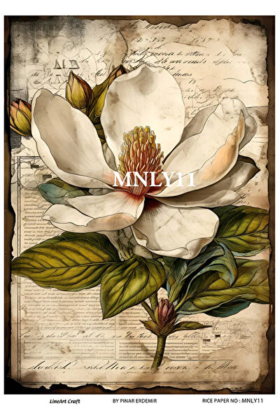 Baykuşca Yardımcı Sanat Ürünleri