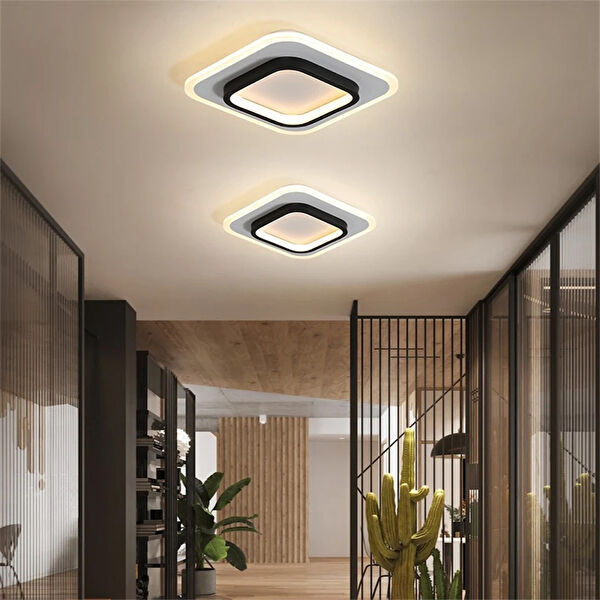 Catluz Avize, Sarkıt