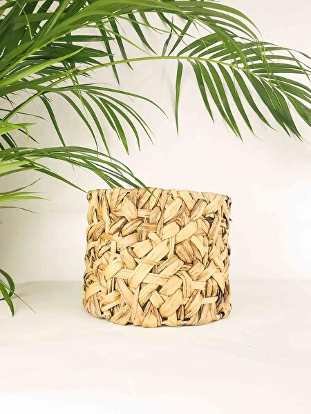 Bitki Tasarımı Sepet, Kutu