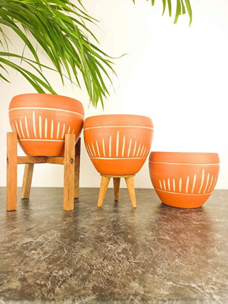 Bitki Tasarımı Vazo, Saksı