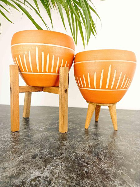 Bitki Tasarımı Vazo, Saksı