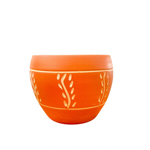 Bitki Tasarımı Vazo, Saksı