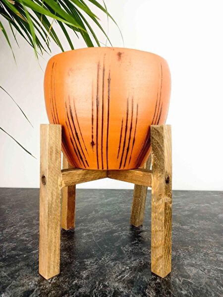 Bitki Tasarımı Vazo, Saksı