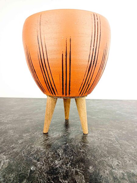 Bitki Tasarımı Vazo, Saksı