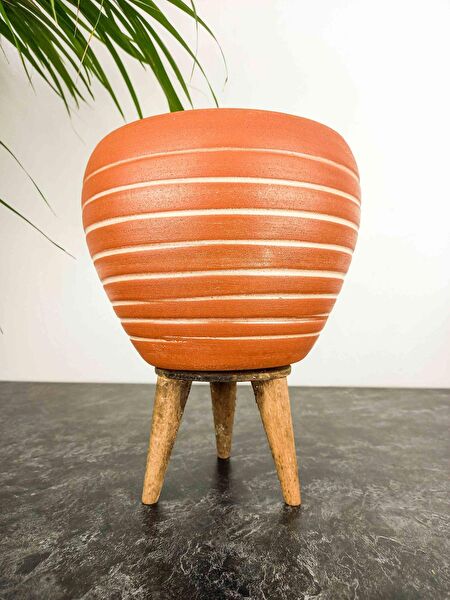 Bitki Tasarımı Vazo, Saksı