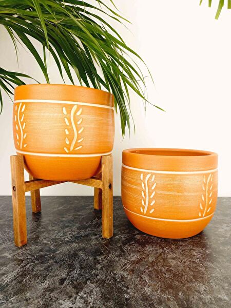 Bitki Tasarımı Vazo, Saksı