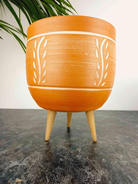 Bitki Tasarımı Vazo, Saksı