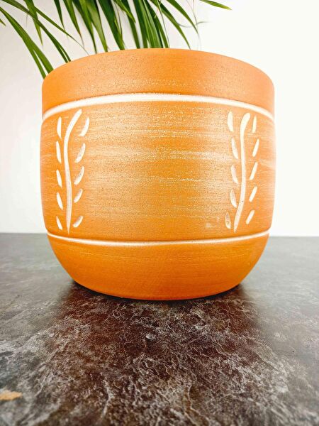 Bitki Tasarımı Vazo, Saksı