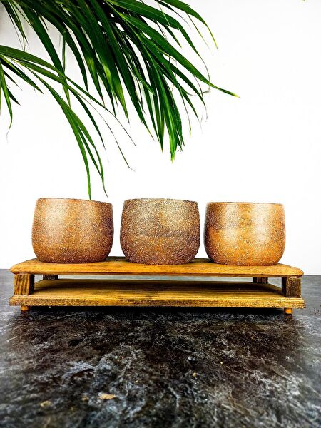 Bitki Tasarımı Vazo, Saksı