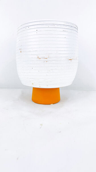 Bitki Tasarımı Saksı