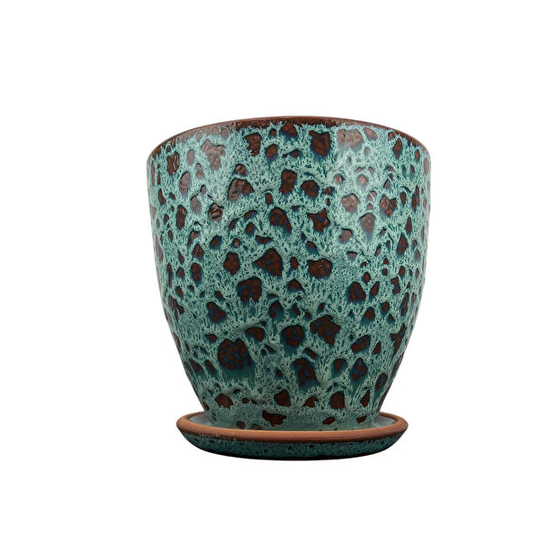 Bitki Tasarımı Saksı