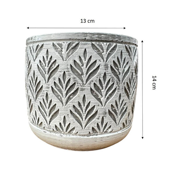 Bitki Tasarımı Saksı