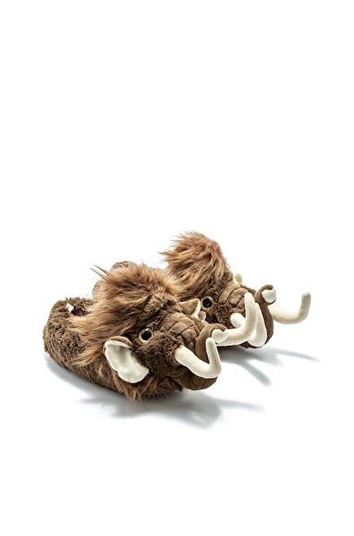 Twigy Erkek Ev Botu, Panduf