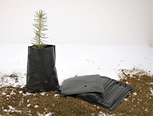 Ekodoğa Bitki Yetiştirme Kiti