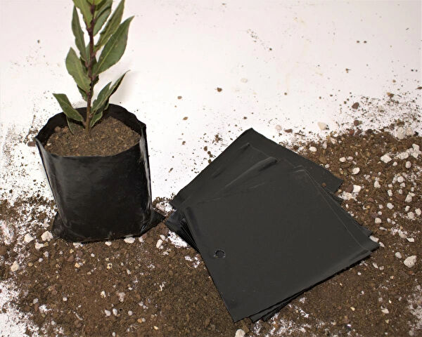 Ekodoğa Bitki Yetiştirme Kiti