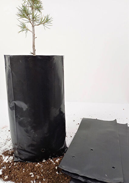 Ekodoğa Bitki Yetiştirme Kiti